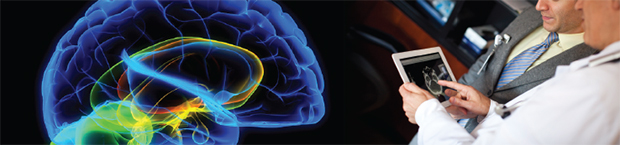 Anne B. Young, MD, PhD, Neuroscience Translational Medicine Fellowship