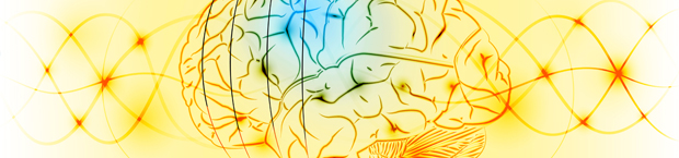 Multiple Sclerosis Clinical Fellowship