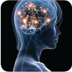 Clinical Neurophysiology  at MGH 